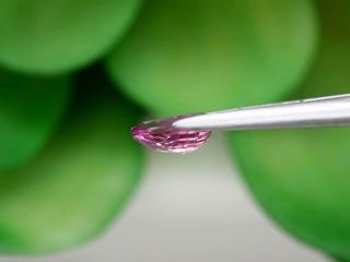 Zafiro violeta rosado - 0,64 ct