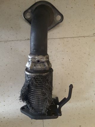 Flexible Honda accord funcionando