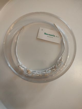 Corona floral para comunión