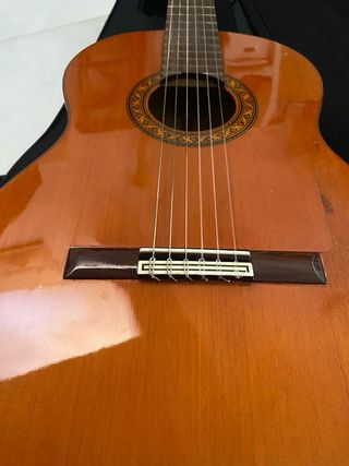 Guitarra flamenca o española