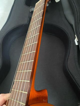Guitarra flamenca o española