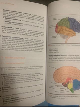 Libro fisiopatología aplicada a la dietética