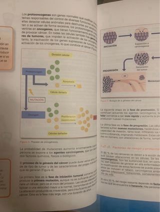 Libro fisiopatología aplicada a la dietética