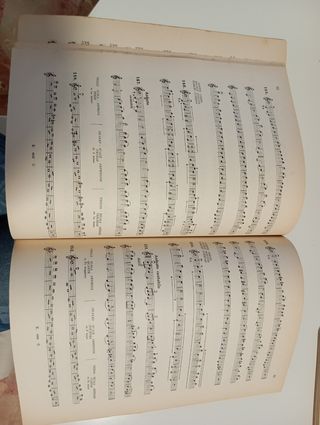 Libro di violino
