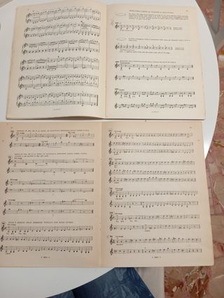 Libri di violino