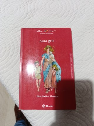 Aura gris (Alta Mar- Novela Historica/ Open Sea- Historic Novel) (Spanish Edition)
