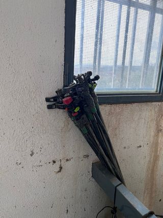 10 Periquitos de riego de barilla