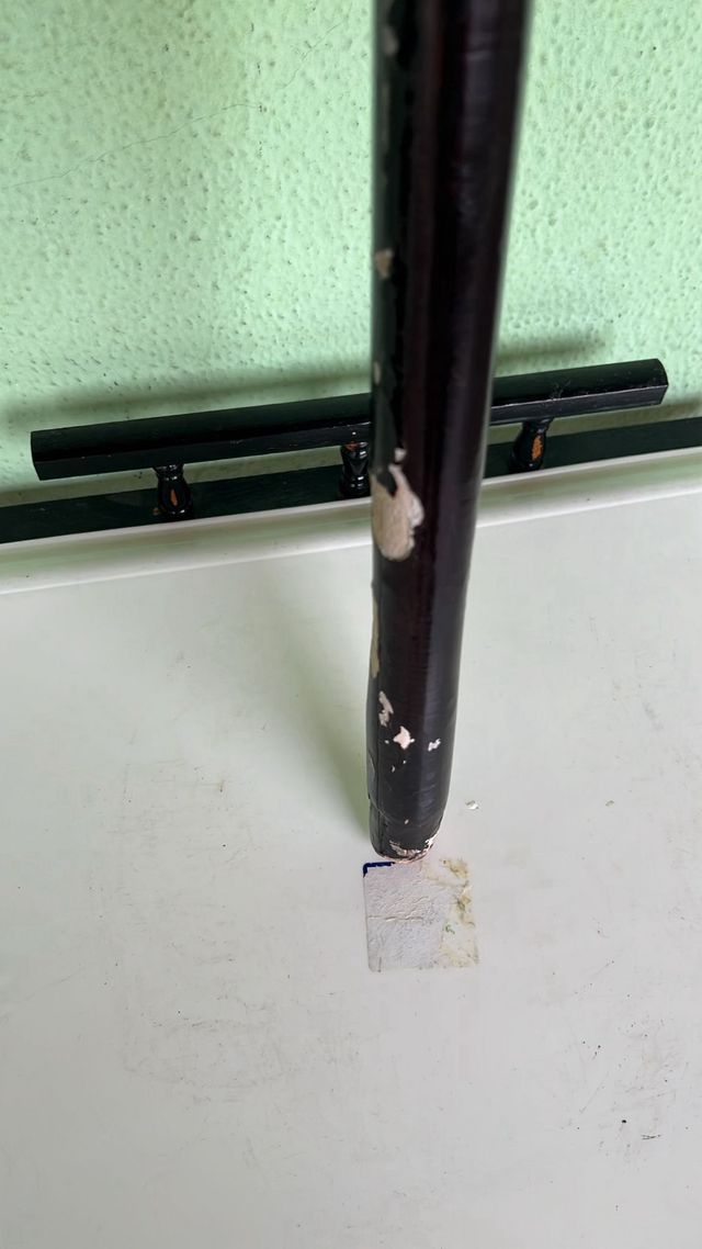 BASTÓN MADERA ROBUSTO CANICA