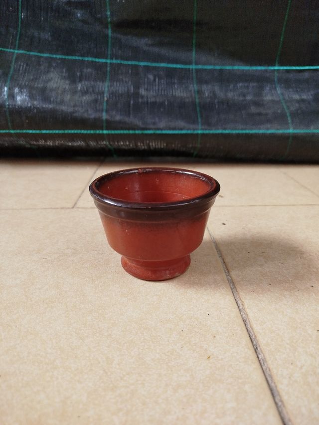 ✅Jarron para decorar 👍 