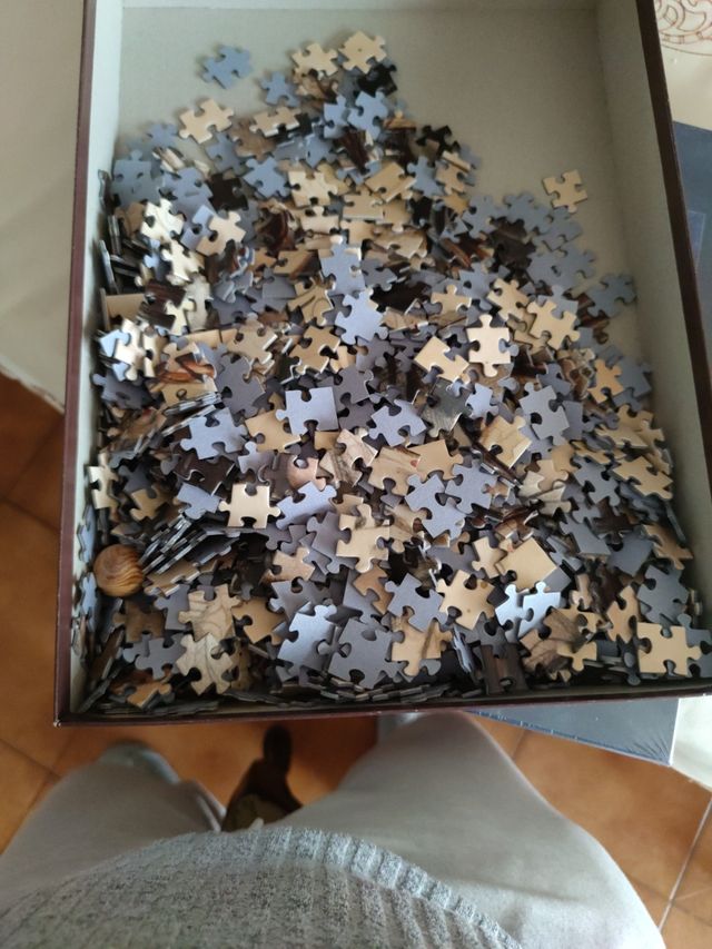 Puzzle da 1000 pezzi