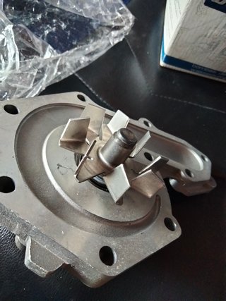 Bomba de agua dolz r179rs