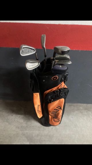 Bolsa y palos de Golf