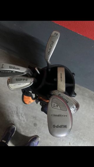 Bolsa y palos de Golf