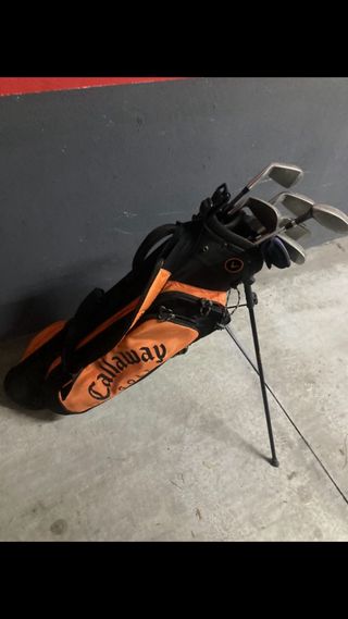 Bolsa y palos de Golf