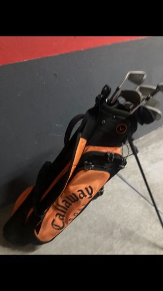 Bolsa y palos de Golf