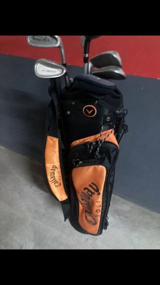 Bolsa y palos de Golf