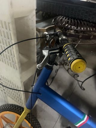 Bicicleta diseño plegable