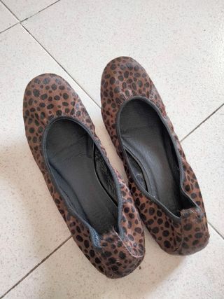 Bailarinas de Leopardo 38