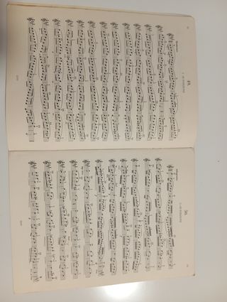 Libro di violino