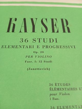 Libro di violino