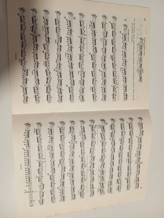 Libro di violino