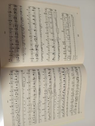 Libro di violino