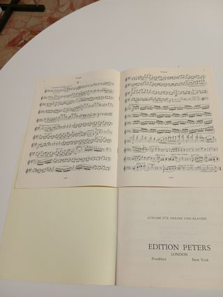 Libro di violino