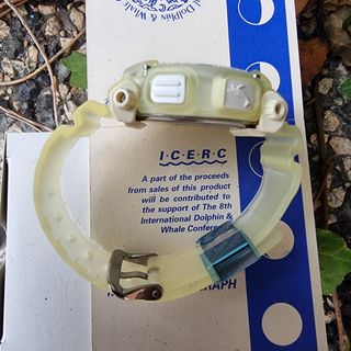 Casio G-shock DW-9000K ICERC