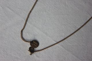 Collar Fauna y Flora