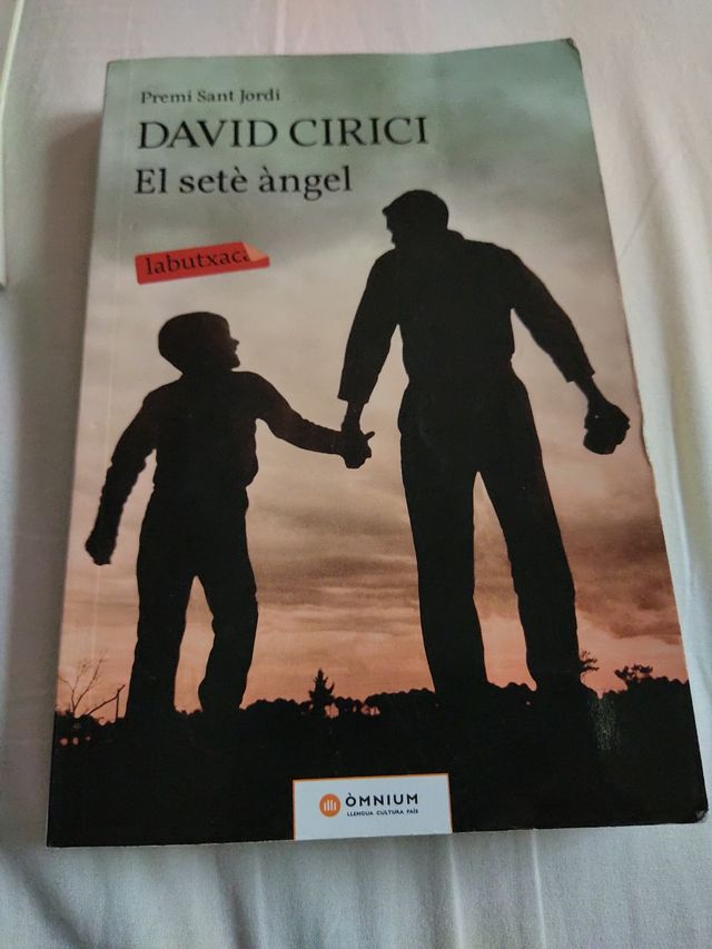 El setè àngel: Premi Sant Jordi 2016