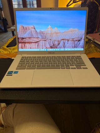 Portatil tactil Asus Chromebook 