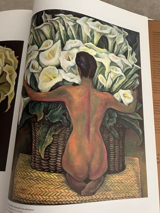Libro d'arte Taschen di Frida Kahlo e Diego Rivera 