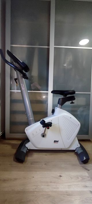 bicicleta estática profecional Nexor BH fitness h1