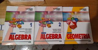 Nuova Algebra. Per Il Biennio