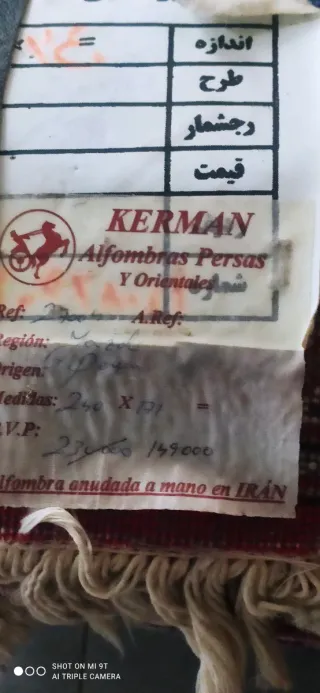 Alfombra oriental anudada a mano Moud