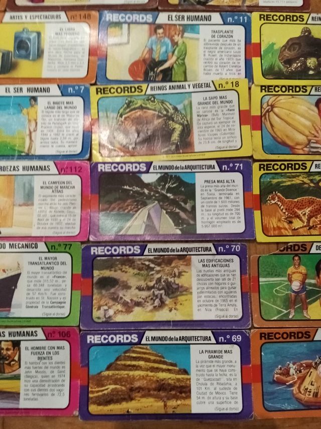 Adesivi Bimbo panther rosa dei Tigreton Buccaneers