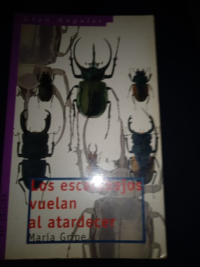 LOS ESCARABAJOS VUELAN AL ATARDECER