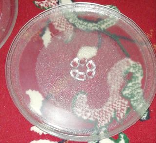 3 platos para microondas