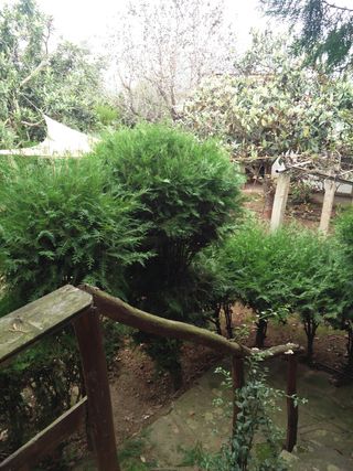 Jardinero responsable y eficaz 