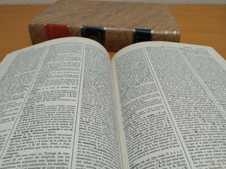 Diccionario Real Academia RAE edición 1984