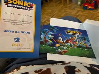 Sonic superstars poster litografia limitada