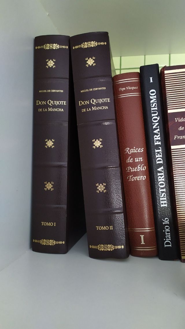 DON QUIJOTE DE LA MANCHA