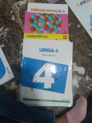 Lote de libros de 4 de Primaria 