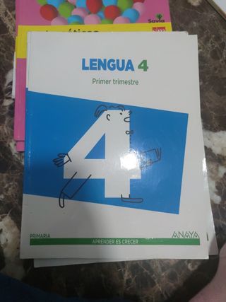 Lote de libros de 4 de Primaria 