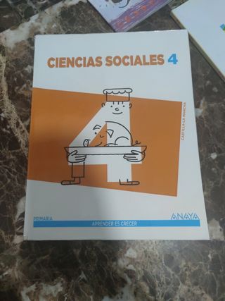 Lote de libros de 4 de Primaria 