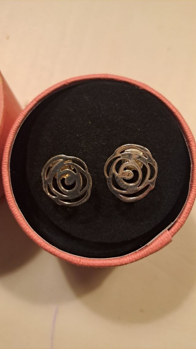 Pendientes TOUS Plata de ley