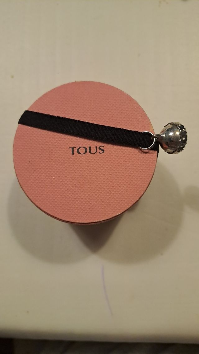 Pendientes TOUS Plata de ley