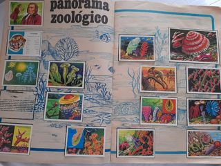 Album Panorama zoológico 1973 Ruiz Romer