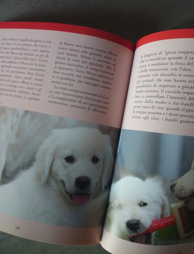 Libro sport cani