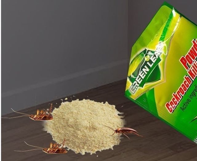 Polvo mata cucarachas caja 50